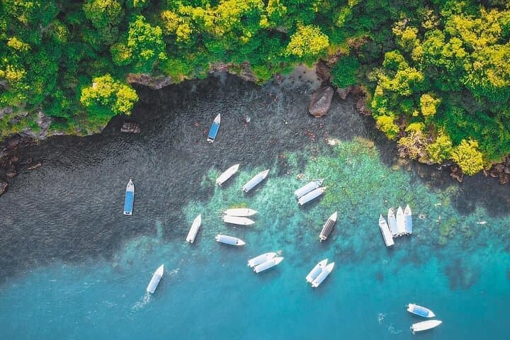 Langkawi Private Marine Odyssey: Snorkel and Mangrove Discovery photo 3