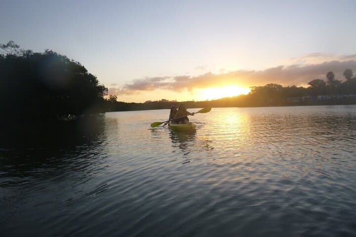 Sunrise Kayaking on the Brunswick River: Dawn Nature Paddle in NSW photo 3