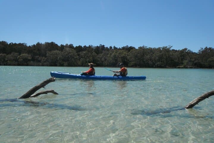 Sunrise Kayaking on the Brunswick River: Dawn Nature Paddle in NSW photo 4
