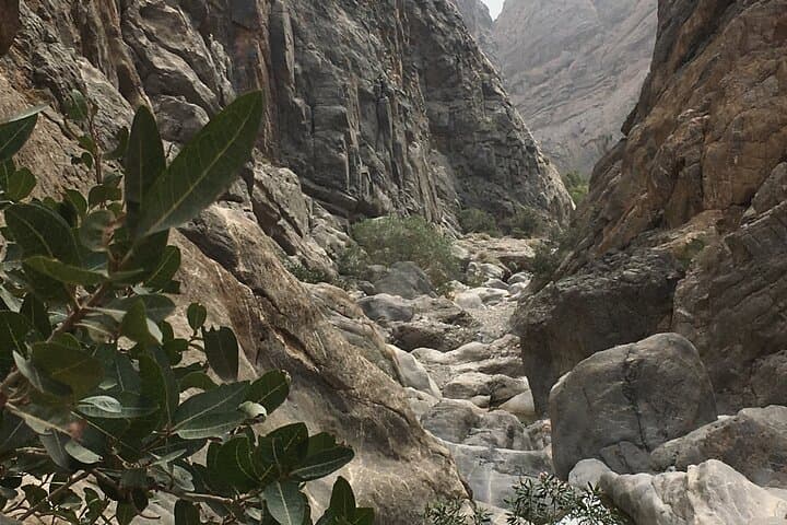 Wadi Shab and Bimmah Sinkhole: Full-Day Wadi Swim and Sinkhole Visit from Muscat photo 2