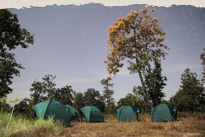 3-Day Xe Champhone & Eld’s Deer Sanctuary Private Tour — Homestay, Wetlands & Wildlife photo 2