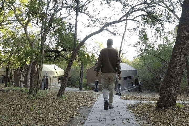 4-Day Kruger Adventure Safari: Budget-Friendly Big Five & Panorama Route from Hazyview photo 5
