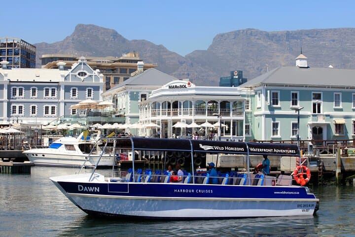 30-Minute Harbour Cruise in Cape Town — Table Mountain Views & Seal Sightings photo 5