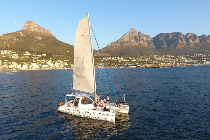 Cape Town Sunset Sail: 90‑Minute Escape Cat Cruise Under Table Mountain photo 4