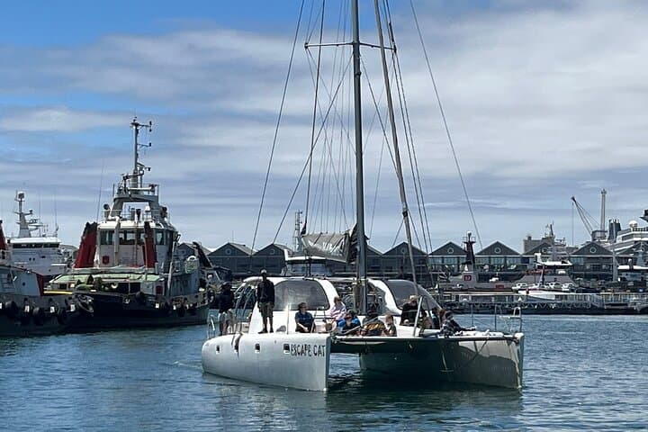 Cape Town Sunset Sail: 90‑Minute Escape Cat Cruise Under Table Mountain photo 5