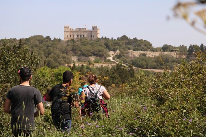 Buskett Woodlands to Dingli Cliffs: Guided Nature Walk with a Maltese Botanist