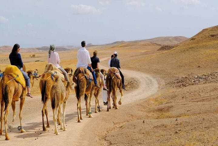 Agafay Desert Quad & Camel Ride to Lalla Takerkoust — Tea, Views & Dinner photo 4