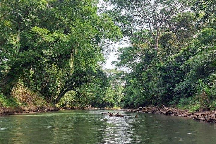Sunrise River Float on Río Peñas Blancas — Half-Day Wildlife Tour from La Fortuna photo 2