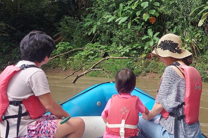Sunrise River Float on Río Peñas Blancas — Half-Day Wildlife Tour from La Fortuna photo 3