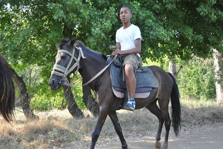Marmaris Horse Safari: 2-Hour Guided Ride Through Pine-Covered Foothills photo 3