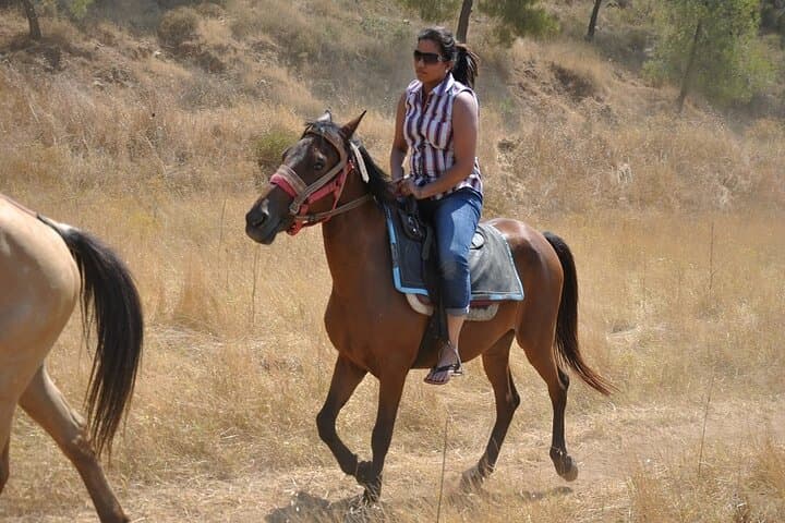 Marmaris Horse Safari: 2-Hour Guided Ride Through Pine-Covered Foothills photo 5
