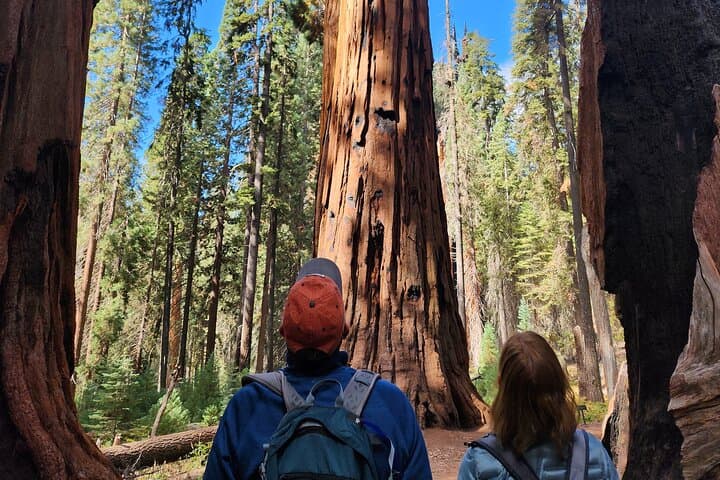 Private Guided Sequoia Hiking Tour — Giant Sequoias & Great Western Divide Views photo 3