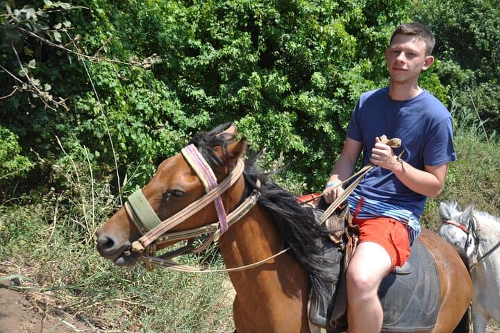 Kusadasi Horse Safari: Coastal Rides Through Pine Forests and Sandy Beaches