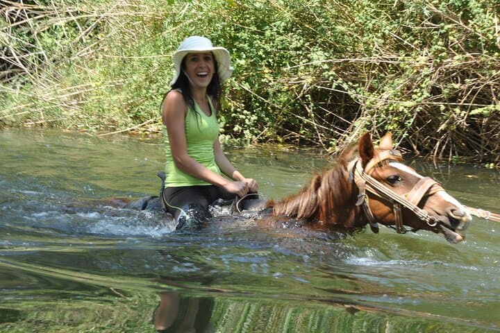 Kusadasi Horse Safari: Coastal Rides Through Pine Forests and Sandy Beaches photo 2