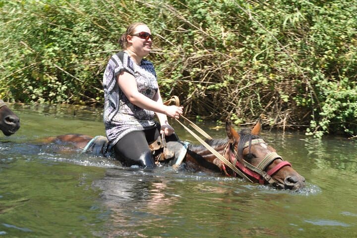 Kusadasi Horse Safari: Coastal Rides Through Pine Forests and Sandy Beaches photo 3
