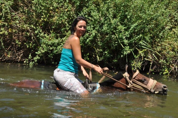 Kusadasi Horse Safari: Coastal Rides Through Pine Forests and Sandy Beaches photo 4