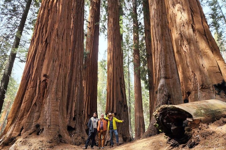 Private Guided Sequoia Hiking Tour — Giant Sequoias & Great Western Divide Views