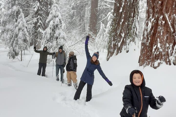 Private Snowshoe Adventure to Bear Hill — Sequoia National Park Winter Walk photo 6