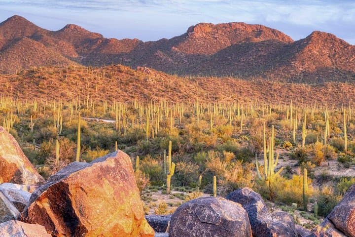 Saguaro National Park East E-Bike Tour — Guided Pedego Ride Through the Sonoran Desert