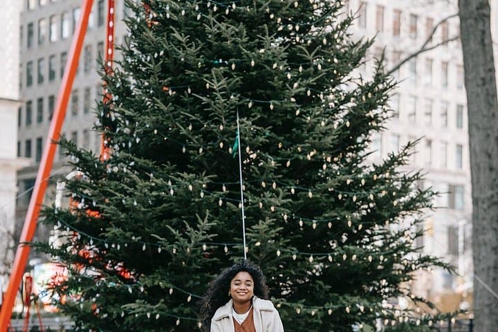 St. Louis Private Christmas Spectacular: Downtown Holiday Lights & Markets Tour photo 1