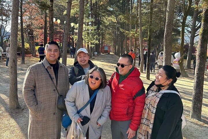 Nami Island & Garden of Morning Calm: Full-Day Tour from Seoul
