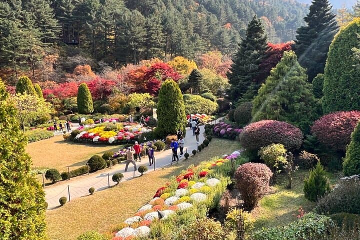 Nami Island & Garden of Morning Calm: Full-Day Tour from Seoul photo 6