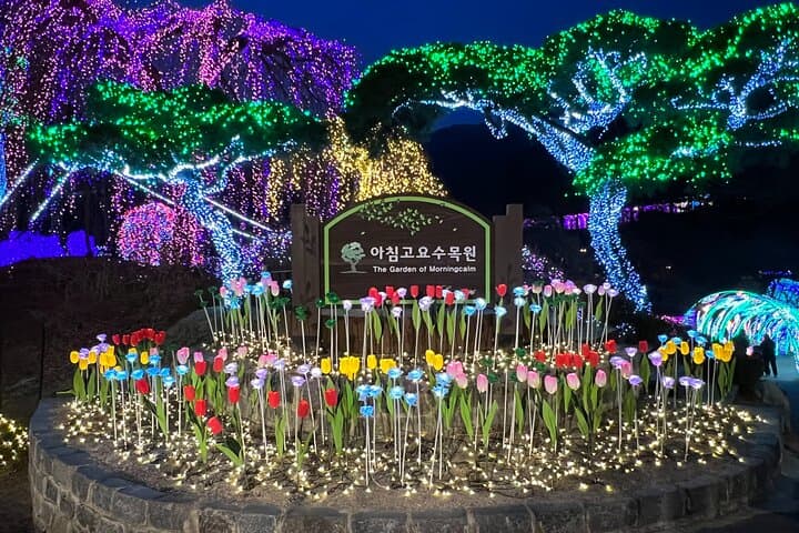 Nami Island & Garden of Morning Calm: Full-Day Tour from Seoul photo 5
