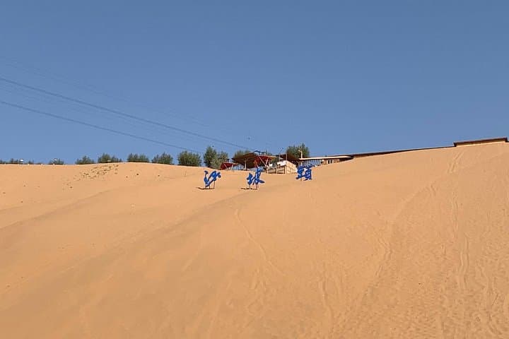 Shapotou Desert Day Trip from Yinchuan: Yellow River Dunes & Sand Adventure photo 4