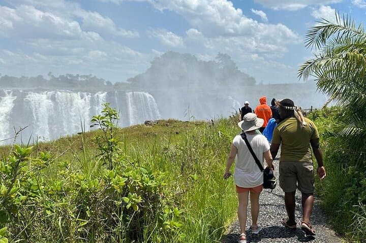 Victoria Falls Private Guided Walking Tour: Complete Visitor Guide photo 6