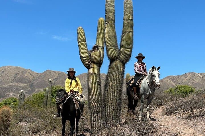 Five-Day Horseback Ride Through Salta's Lerma and Calchaquí Landscapes photo 3