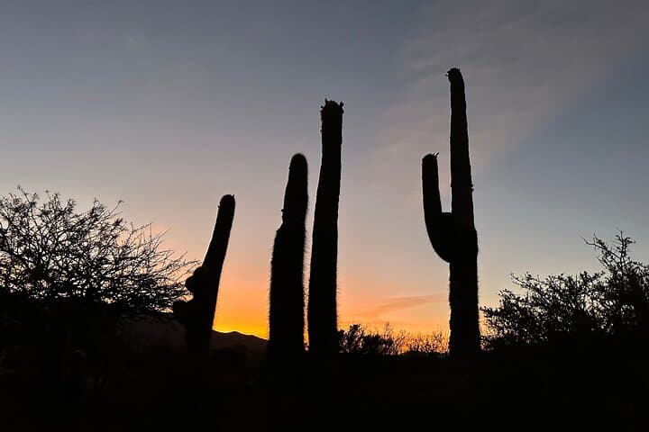 Five-Day Horseback Ride Through Salta's Lerma and Calchaquí Landscapes photo 5