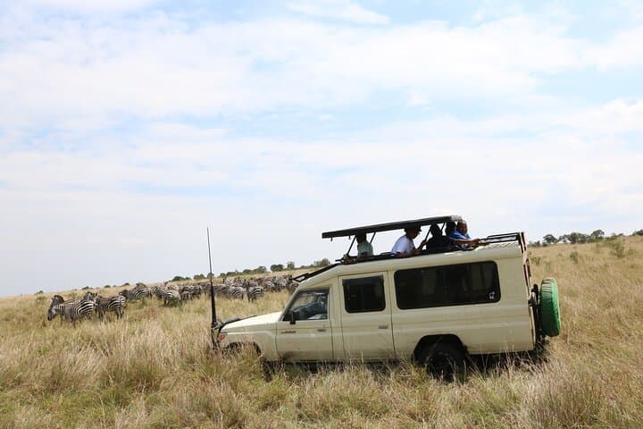 Exploring Nairobi National Park and Giraffe Center: A Private Safari Adventure Near Nairobi photo 3