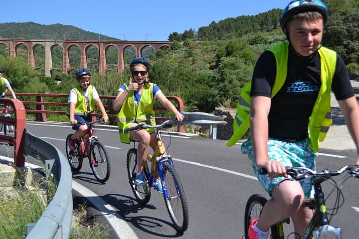 Half-Day Montsant Bike Tour and Award-Winning Olive Oil Tasting
