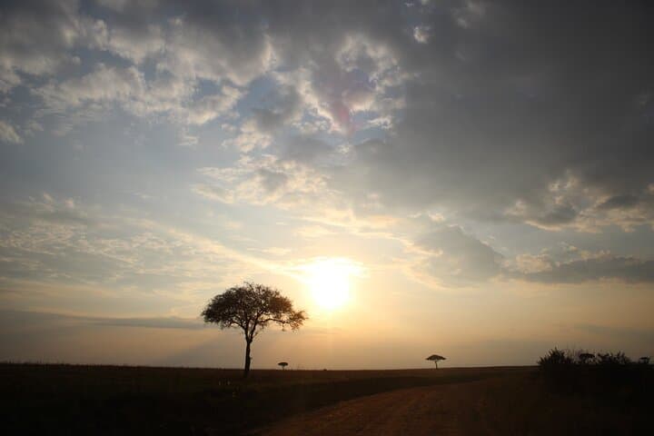 Exploring Nairobi National Park and Giraffe Center: A Private Safari Adventure Near Nairobi