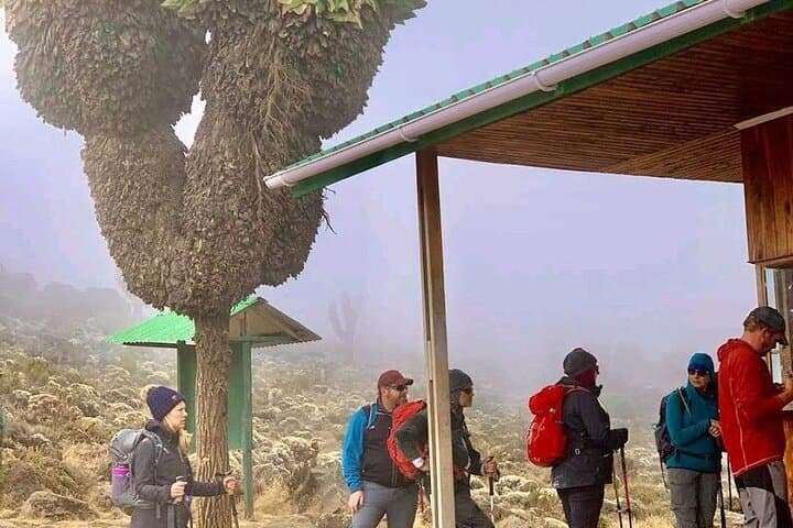 7-Day Machame Route: Conquer Mount Kilimanjaro via the Whiskey Route photo 3