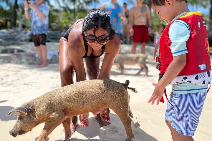 Rose Island Swimming Pigs: Nassau Day Trip to Swim with the Famous Bahamian Pigs photo 4