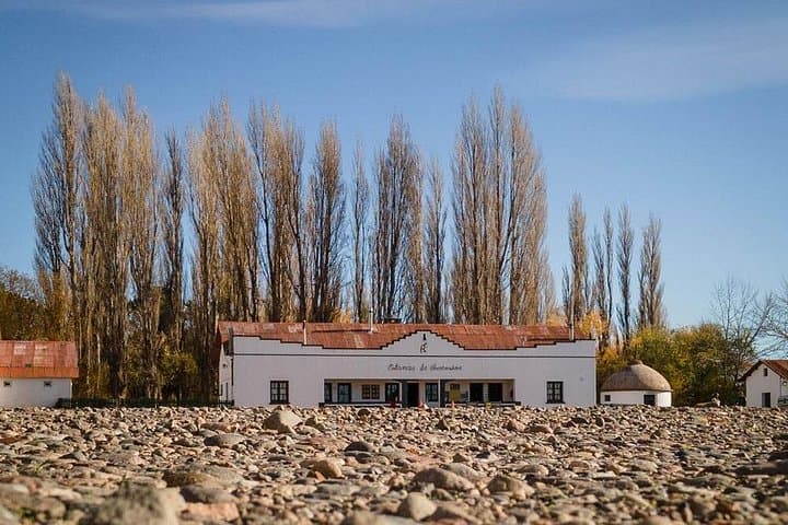 Patagonia National Park Full-Day Private Tour from Los Antiguos