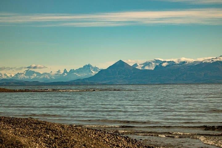Patagonia National Park Full-Day Private Tour from Los Antiguos photo 2