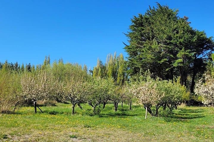 Patagonia National Park Full-Day Private Tour from Los Antiguos photo 4