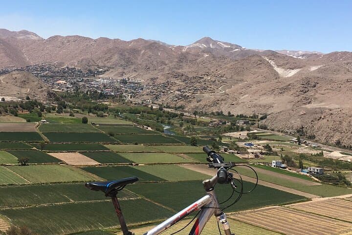 Congata Rover: Half-Day Downhill Bike Ride from Arequipa photo 2