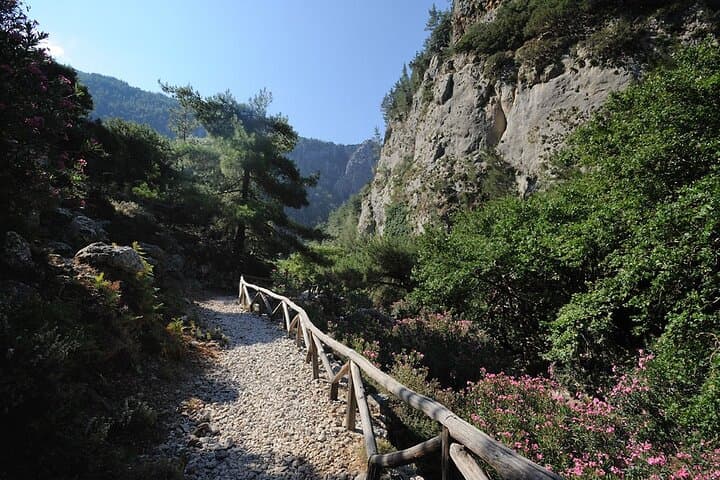 Agia Irini Gorge Hike and Sougia Beach Day Trip — Crete photo 5