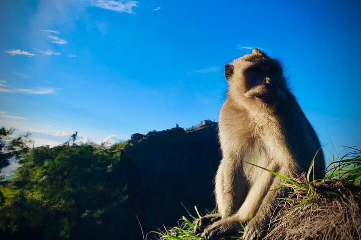 Sunrise Trek on Mount Batur: Guided Hike with Summit Breakfast from Ubud photo 2