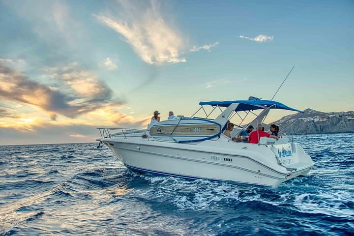 Private Luxury Whale-Watching Yacht Tour in Cabo San Lucas photo 4