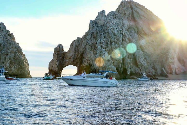 Private Luxury Whale-Watching Yacht Tour in Cabo San Lucas photo 6