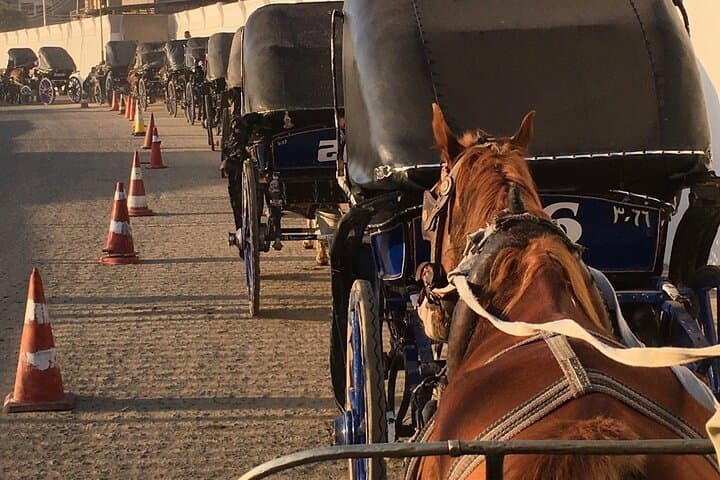 Private Luxor Horse-Carriage Tour: Guided Old Town & Luxor Temple Ride photo 4