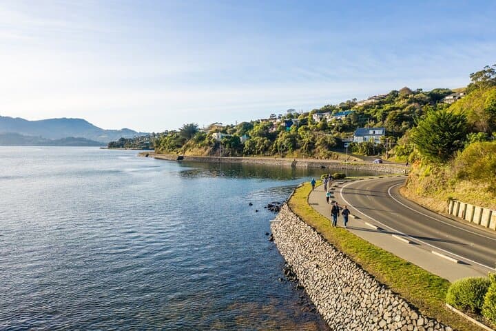 Dunedin Electric Bike Rental & Harbour Cycle Loop Guide photo 5