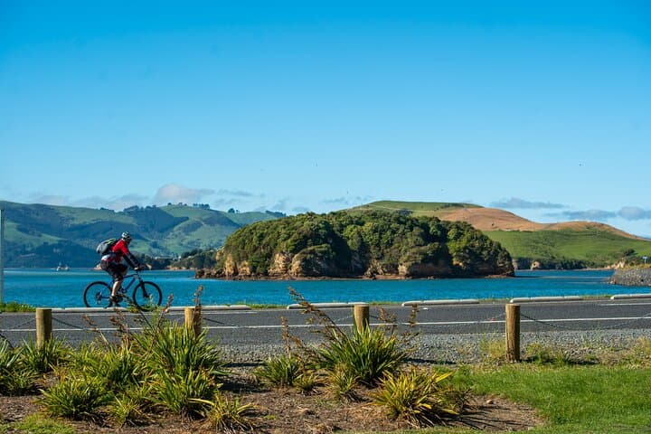 Dunedin Electric Bike Rental & Harbour Cycle Loop Guide photo 2