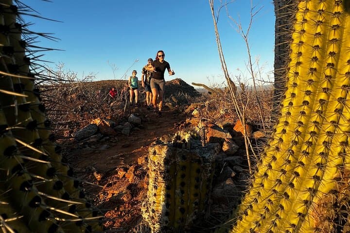 Todos Santos Sunset Ridge Hike — Pacific Views & Pueblo History photo 2