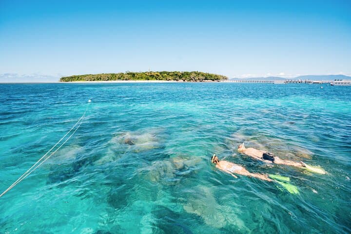 Green Island Eco-Adventure: Snorkel or Glass-Bottom Boat from Cairns