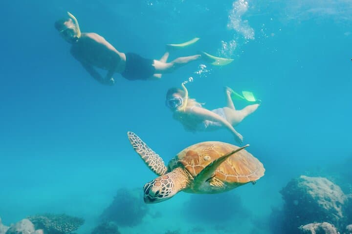 Green Island Eco-Adventure: Snorkel or Glass-Bottom Boat from Cairns photo 4